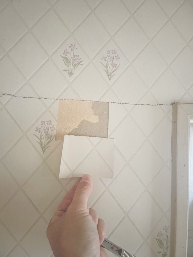 石綿含有建材調査